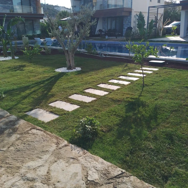 Bodrum Bahçelerinde Sürdürülebilir Peyzaj Tasarımı: Doğayla Uyumlu Yaşam